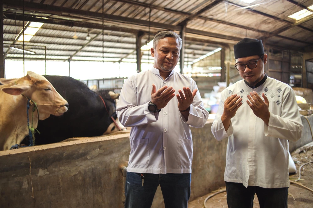cara menyimpan daging kurban